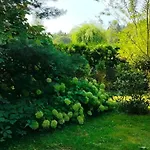 Pod Wiewiorka