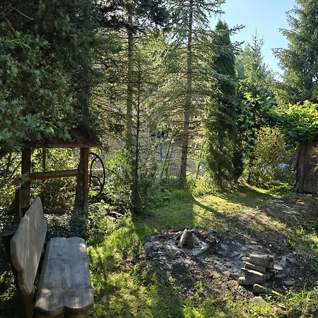 Pod Wiewiorka Digital Detox & Balance * Rychwald