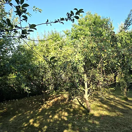 Pod Wiewiorka Digital Detox & Balance * Rychwald