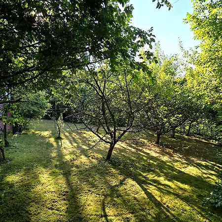 Pod Wiewiorka Digital Detox & Balance Holiday home *