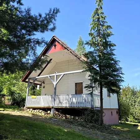 Pod Wiewiorka Digital Detox & Balance *