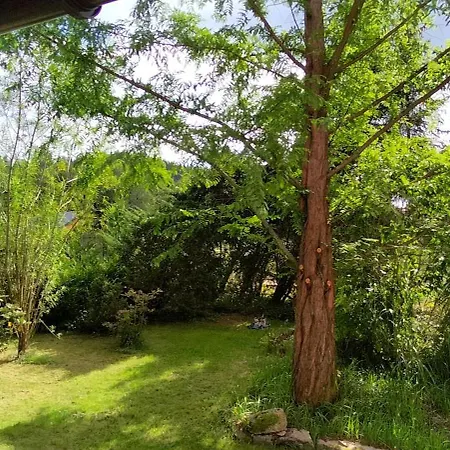 Pod Wiewiorka Digital Detox & Balance Holiday home *