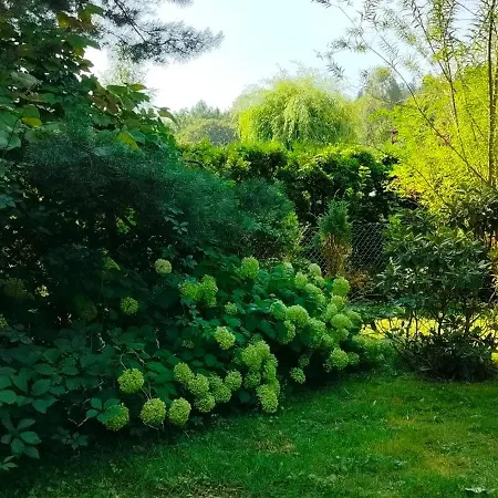 Pod Wiewiorka Digital Detox & Balance