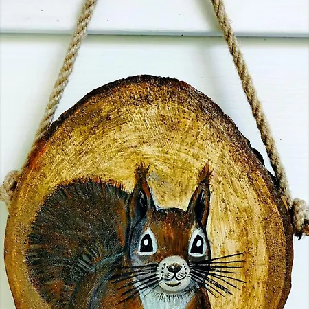 Holiday home Pod Wiewiorka Digital Detox & Balance Rychwald