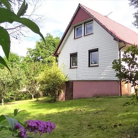 Pod Wiewiorka Digital Detox & Balance Rychwald