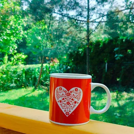 Holiday home Pod Wiewiorka Digital Detox & Balance