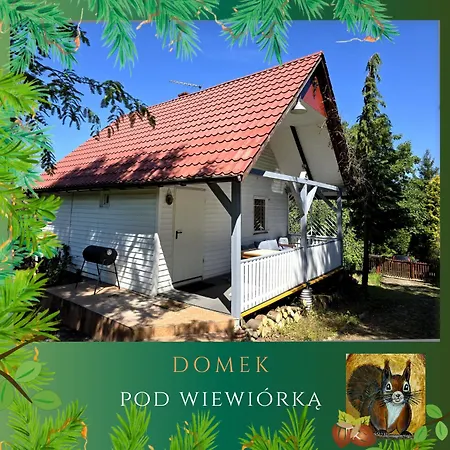 Pod Wiewiorka Digital Detox & Balance *