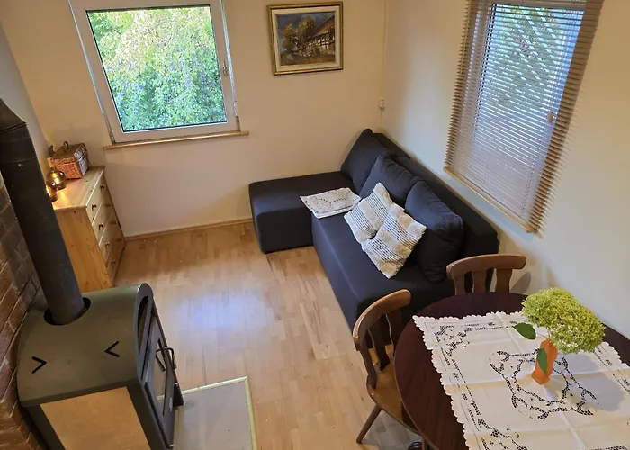 Pod Wiewiorka Digital Detox & Balance *