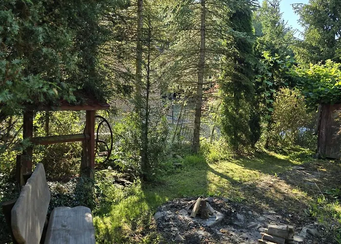 Pod Wiewiorka Digital Detox & Balance * Rychwald