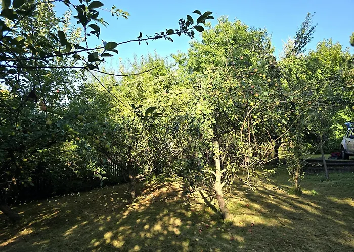 Pod Wiewiorka Digital Detox & Balance * Rychwald