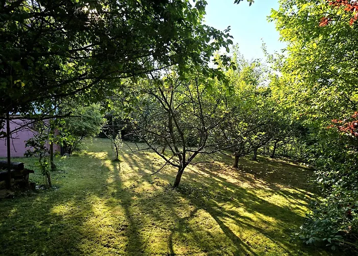 Pod Wiewiorka Digital Detox & Balance Prázdninový dům *