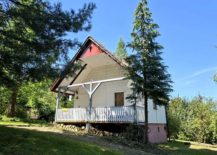 Pod Wiewiorka Digital Detox & Balance *