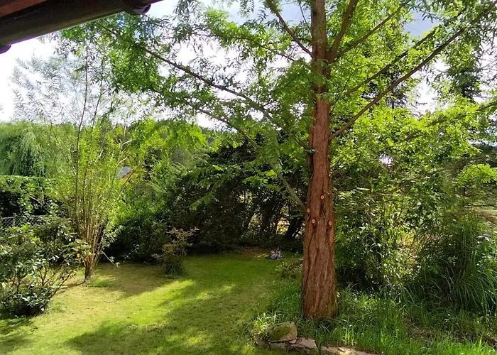 Pod Wiewiorka Digital Detox & Balance Prázdninový dům *