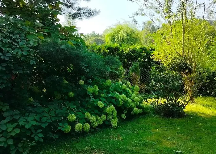 Pod Wiewiorka Digital Detox & Balance