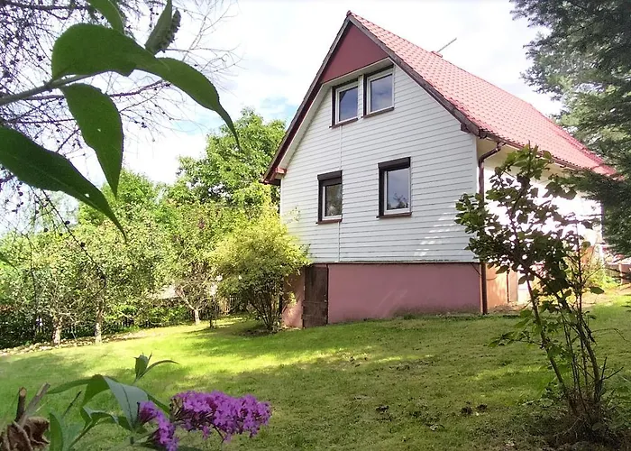 Pod Wiewiorka Digital Detox & Balance Rychwald