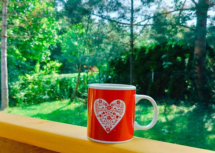 Prázdninový dům Pod Wiewiorka Digital Detox & Balance